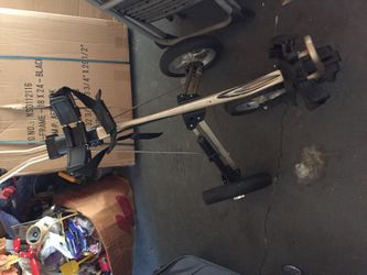 3 wheel golf bag carrier