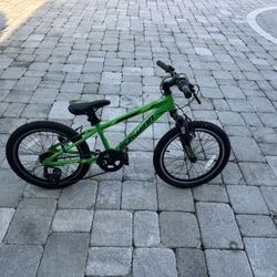 Schwinn Kids Mountain Bike