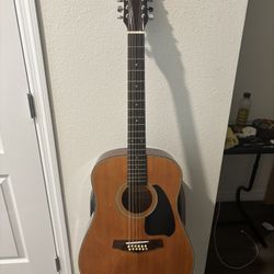 Ibanez PF-10-12 A/E Guitar