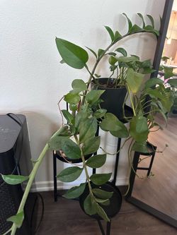 Metal plant stand