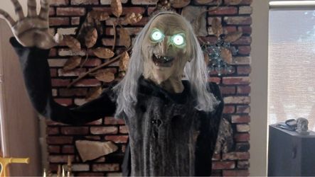 Spirit Halloween Lunging Witch Animatronic