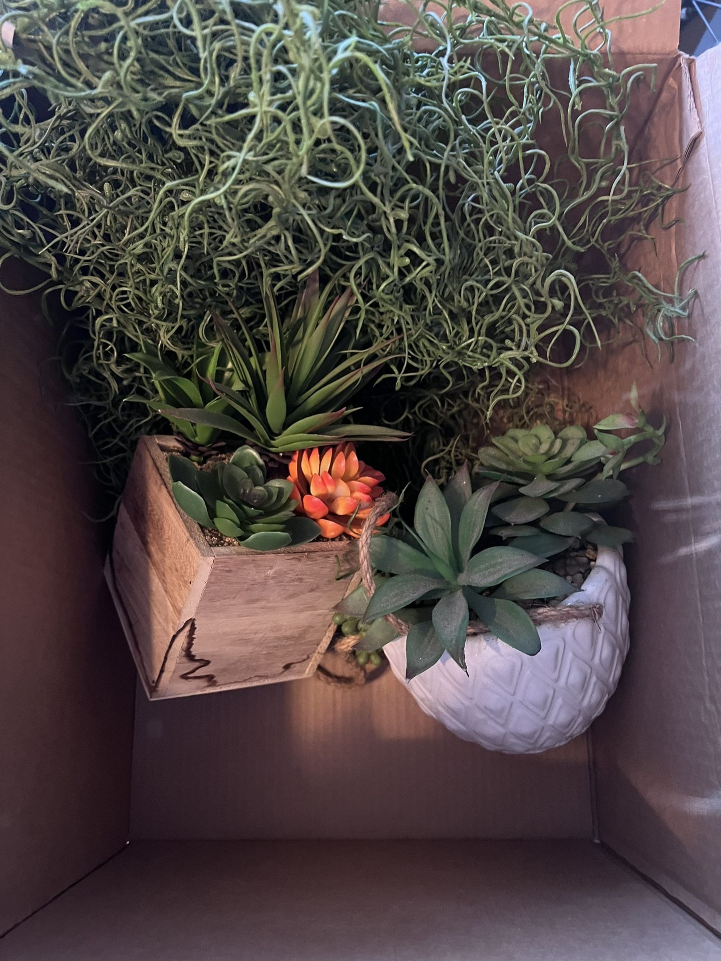 Fake Plants