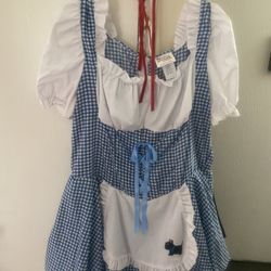 Wizard of Oz Dorthy Halloween Costume Plus Size 