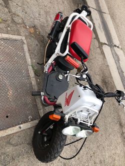 Ruckus/ Honda ruckus/ Honda / scooter / 50cc / moped