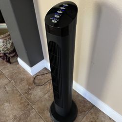 Black Tower Fan 