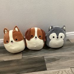 3 Pack Squishmallow Dog Set