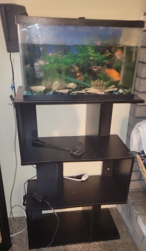 10 Gallon Fish Tank W Stand & Fish