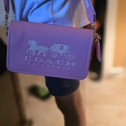 Hermoso Cartera 