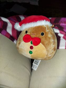 Squishmallow Jordan The Gingerbread 