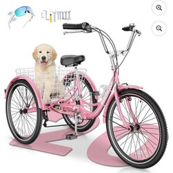 20 Inch Three Wheel Bike