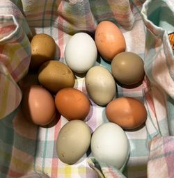 FARM FRESH EGGS