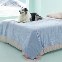 BEDSURE HIGH QUALITY COOLING PET BLANKETS! 🐾🐶❄️❄️❄️🐈‍⬛