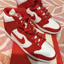 NIKE DUNK HI RETRO