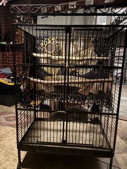 5’ x 3’ long birdcage