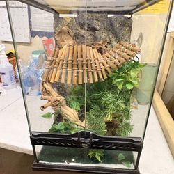 NATURAL TERRARIUM SMALL TALL