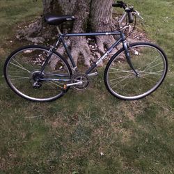 28” Nishiki Hybrid Bike (xl Frame)