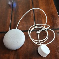 Google Nest Mini