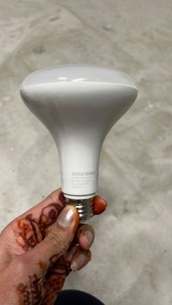 20 Light Bulbs 
