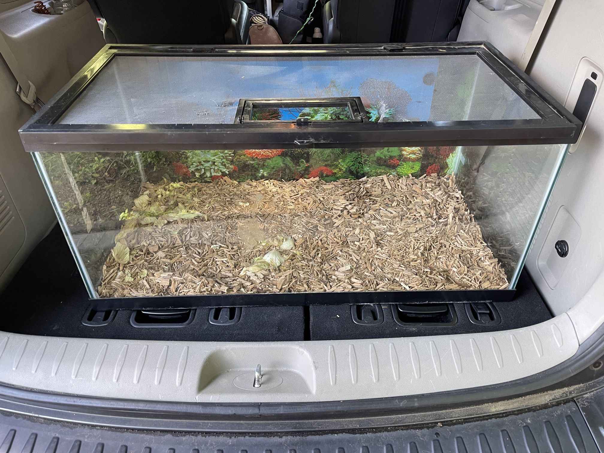Tank 