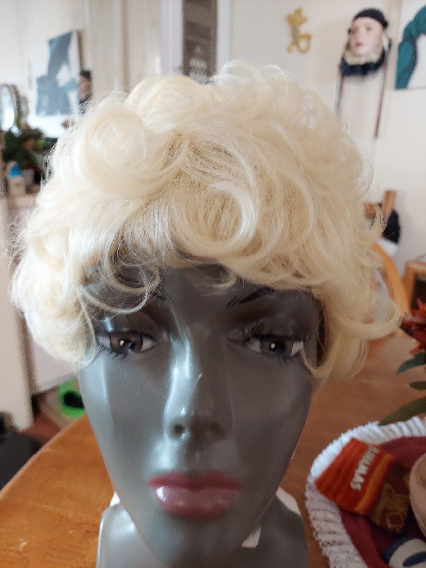 Blond Wig One Size Fits All