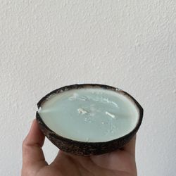 Coconut Scented Candles 