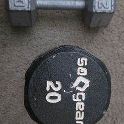 20 Lb Weights