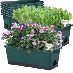 FREE Self Watering Pots (A Set Of 7)