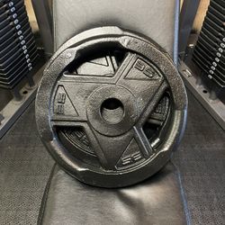 CAP Weight Plates