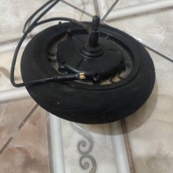 48V Ebike Motor