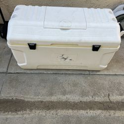 Igloo Cooler 