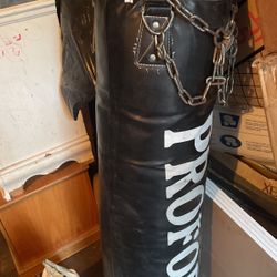 Punching bag