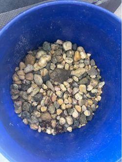 4gal biorb-$50/ aquarium pebbles-free