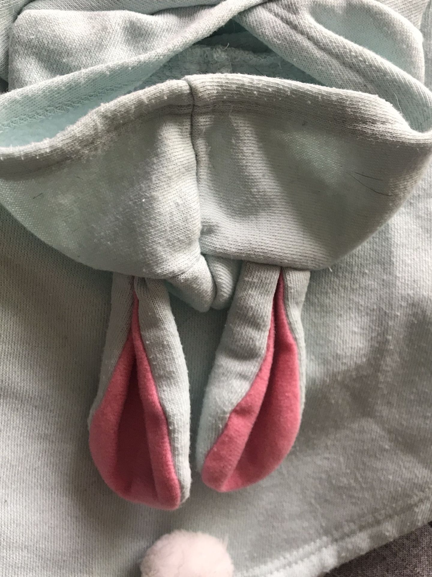 Bunny Sweatshirt (Dog)