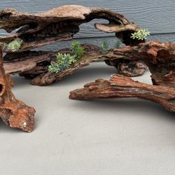 Aquarium Decor For Large Tanks