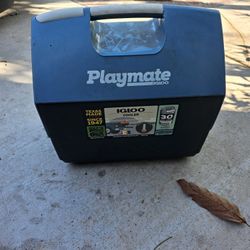 Playmate Cooler $20