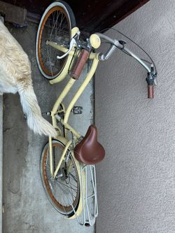 Beach Cruiser