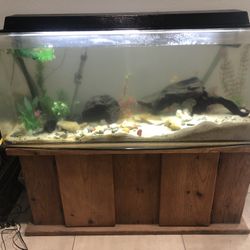 65 Gallon Aquarium No Fish