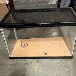 Reptile Glass Container 