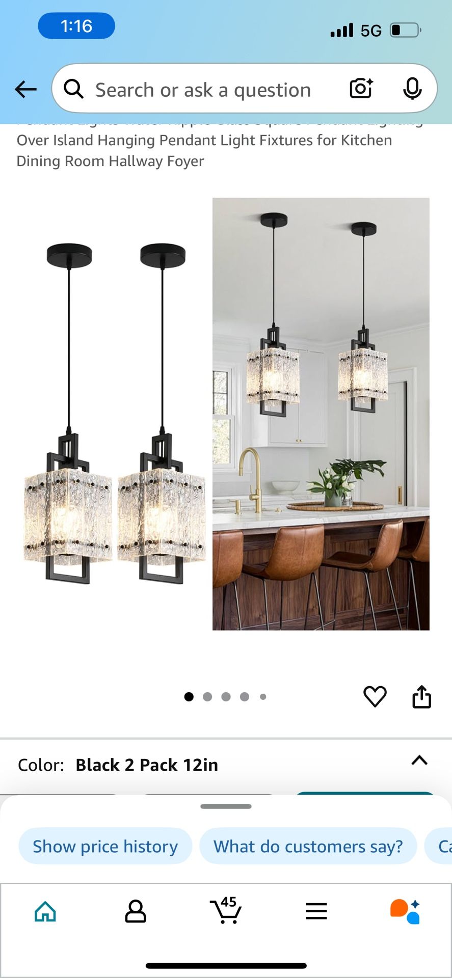 2 Pack Matte Black Light Pendants