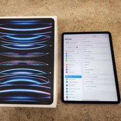 iPad Pro 11in 2022 256gb