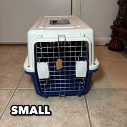 Small Dog Taxi
