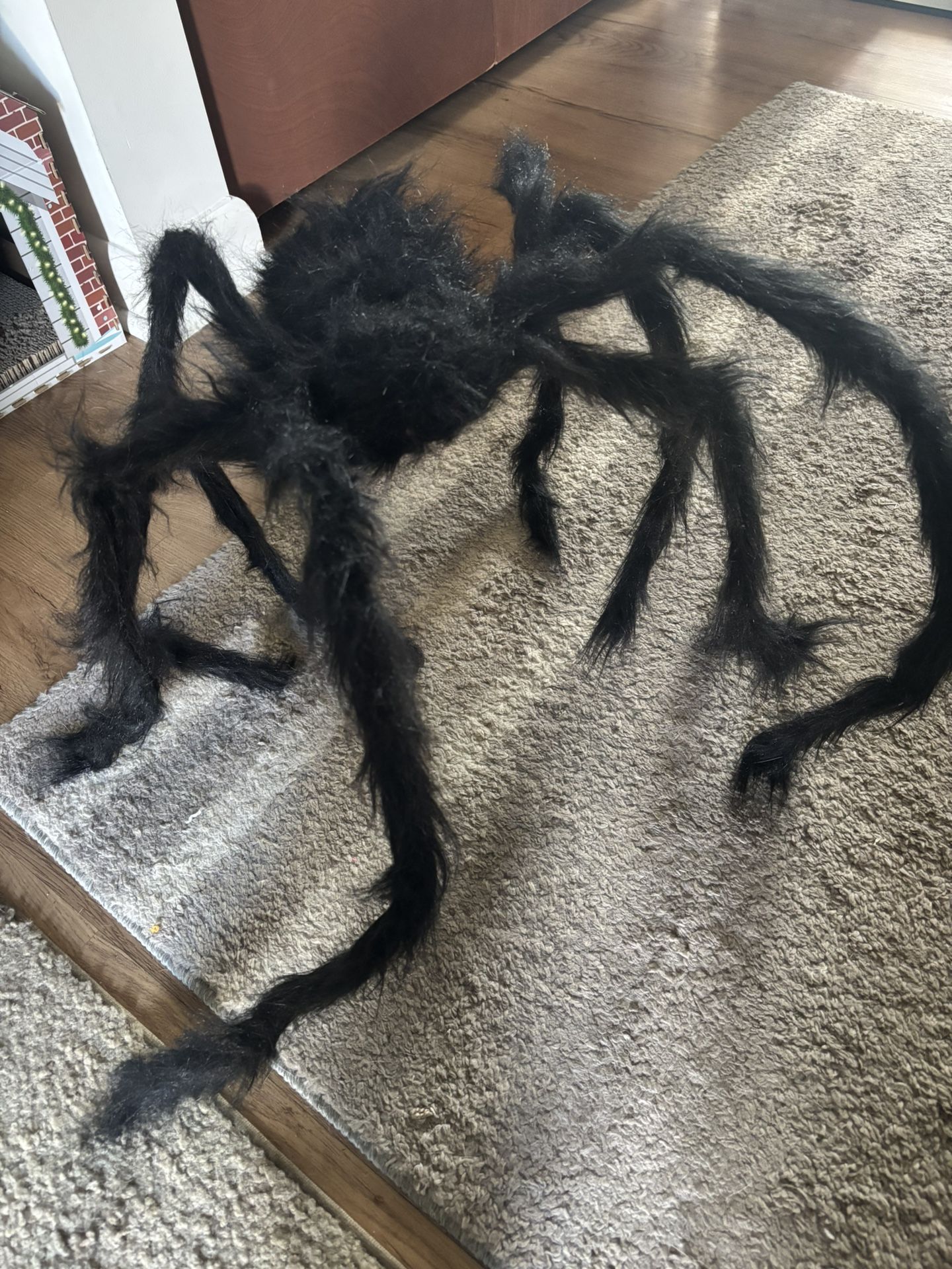 Furry Spider
