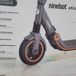 Segway e12 weight limit outlet