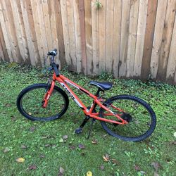 Mountain bike 