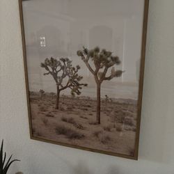 Large Joshua Tree Framed Print 