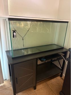Acuario de 55 gal
