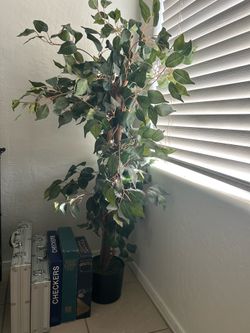 Set of 2 Fake Plants