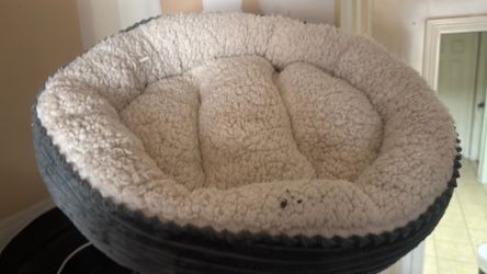 Small pet bed