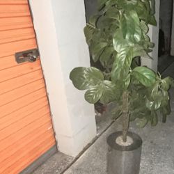 Large Artificial Plant/ In Metal Holder With Rocks