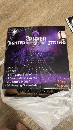 Spider Lighted🎃